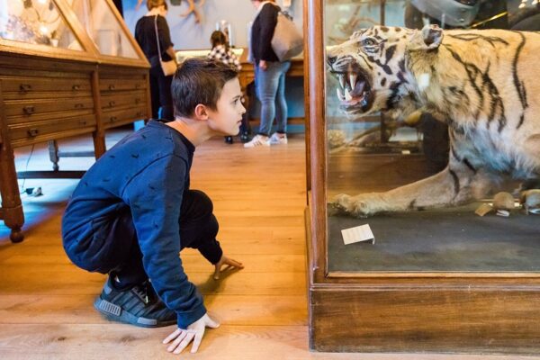 Natuurmuseum Fryslân