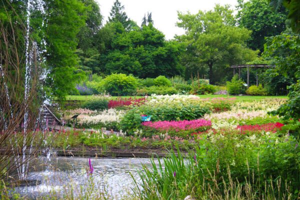 Botanische Tuinen Universiteit Utrecht
