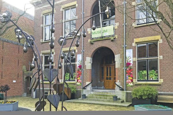 Museum Sow to Grow