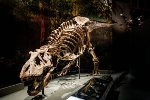 Trix de T. rex
