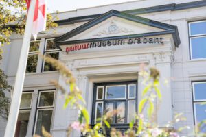 Assistent horeca