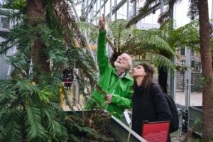 Oudere man en jonge dame in de Hortus Botanicus. Ze kijken omhoog naar een palmboom.